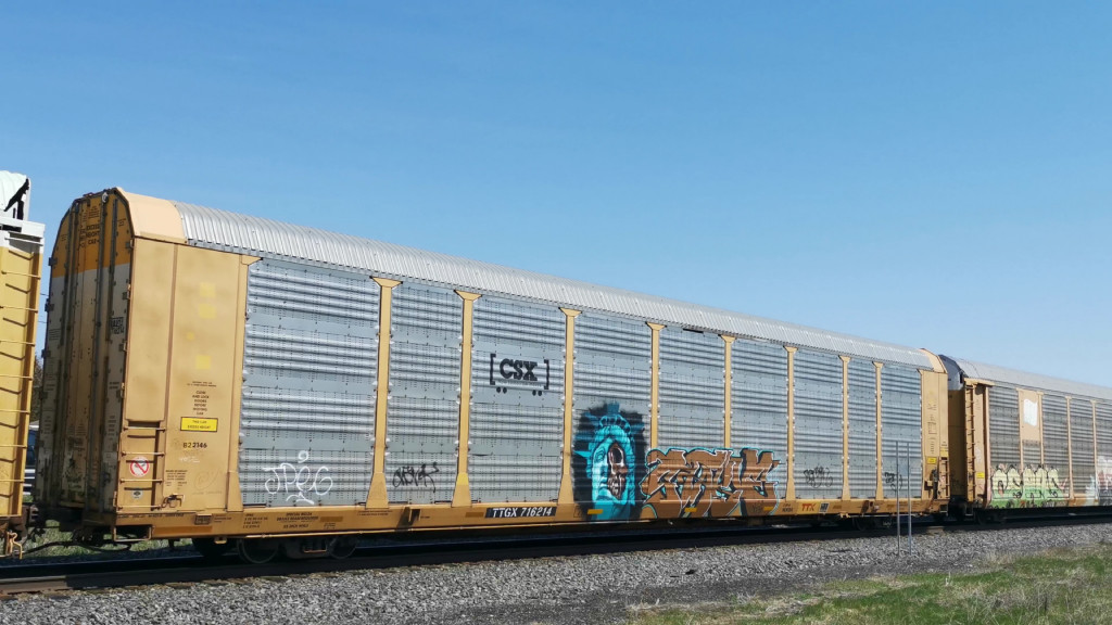 CSX B22146 (Body) TTGX 716214 (Flat)